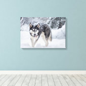 Toile Husky dans la neige (Insitu (Plancher de Bois))