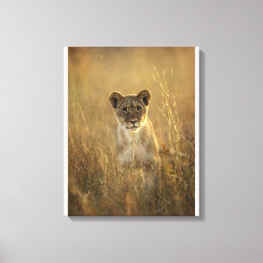 Toile Hwange National Park, Zimbabwe. (Recto)