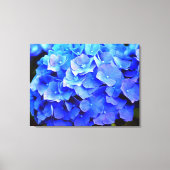 Toile Hydrangea Blues (Recto)