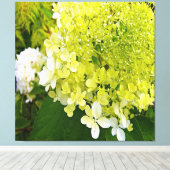 Toile Hydrangea Limelight Vert Chartreuse Élégant (Insitu (Plancher de Bois))