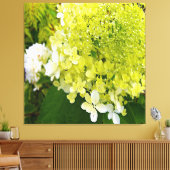 Toile Hydrangea Limelight Vert Chartreuse Élégant (Insitu(Salon))