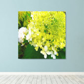 Toile Hydrangea Limelight Vert Chartreuse Élégant (Insitu (Plancher de Bois))