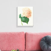 Toile Hydrangea Rose Ancien Hortensia Fleur par Redoute (Insitu(Salon))