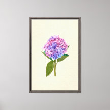 Hydrangea Vintage