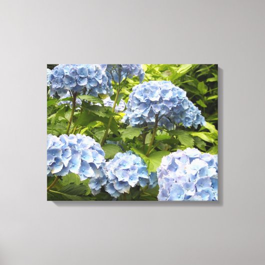 Toile Hydrangeas Bleu Profond (Recto)