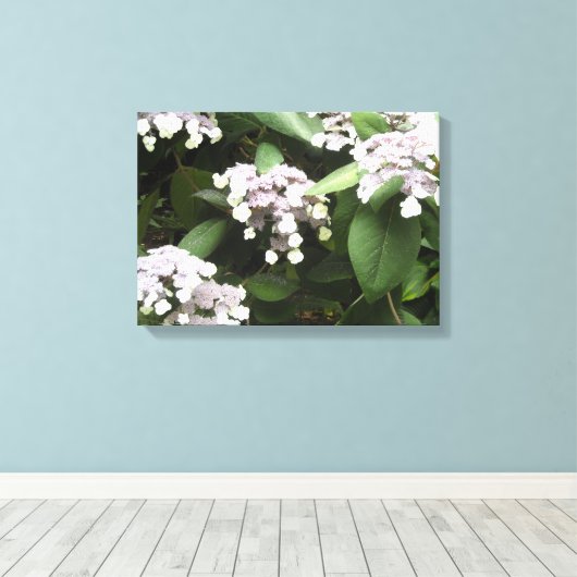 Toile Hydrangeas délicates (Insitu (Plancher de Bois))