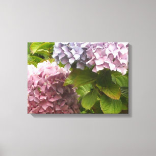 Toile Hydrangeas pastel