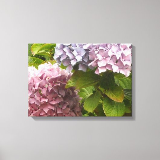 Toile Hydrangeas pastel (Recto)
