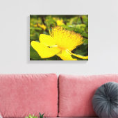 Toile Hypericum Calcyinum Imprimer (Insitu(Salon))