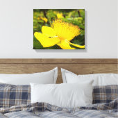 Toile Hypericum Calcyinum Imprimer (Insitu(Chambre))