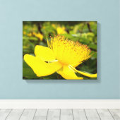 Toile Hypericum Calcyinum Imprimer (Insitu (Plancher de Bois))