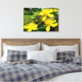 Toile Hypericum calycinum (Insitu(Chambre))