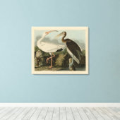 Toile Ibis blanc - Les oiseaux d'Amérique de John James  (Insitu (Plancher de Bois))