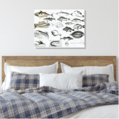 Toile Ichthyologie Poissons osseux (Insitu(Chambre))