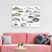 Toile Ichthyologie Poissons osseux (Insitu(Salon))