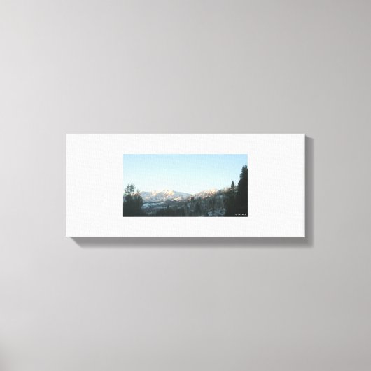 Toile Idaho (Recto)