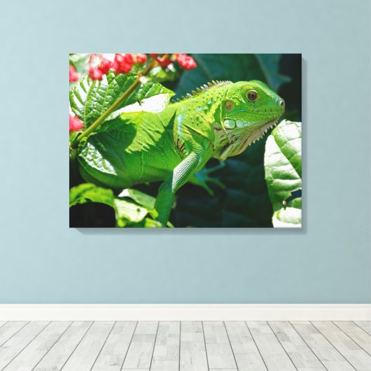 Toile Iguana (Insitu (Plancher de Bois))