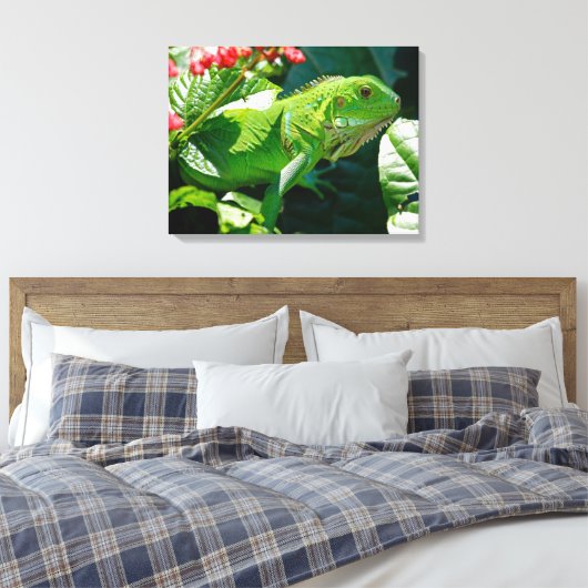 Toile Iguana (Insitu(Chambre))