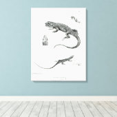 Toile Iguana à coque (Insitu (Plancher de Bois))