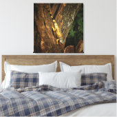 Toile Iguane Mexicain Faune Tropicale 1069 (Insitu(Chambre))
