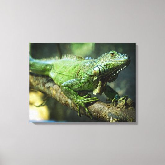 Toile Iguane vert (Recto)