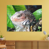 Toile Iguane vert dans la forêt tropicale (Insitu(Salon))