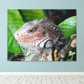 Toile Iguane vert dans la forêt tropicale (Insitu (Plancher de Bois))