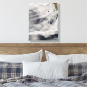 Toile Île de Guadalupe (Insitu(Chambre))