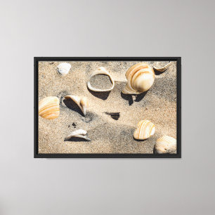 Toile Île de South Padre, coquillages et sable