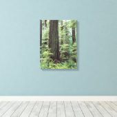 Toile Île de Vancouver, parc provincial MacMillan 1 (Insitu (Plancher de Bois))