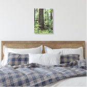 Toile Île de Vancouver, parc provincial MacMillan 1 (Insitu(Chambre))