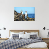 Toile Îles Galapagos, île d'Isabela (Insitu(Chambre))