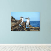 Toile Îles Galapagos, île d'Isabela (Insitu (Plancher de Bois))