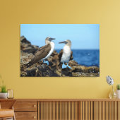 Toile Îles Galapagos, île Isabela (Insitu(Salon))