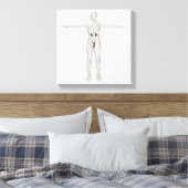Toile Illustration 3D Du Système Reproductif Homme 2 (Insitu(Chambre))