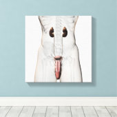 Toile Illustration 3D Du Système Reproductif Homme 3 (Insitu (Plancher de Bois))