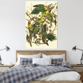 Toile Illustration Audubon Carolina Parrot Bird (Insitu(Chambre))