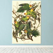 Toile Illustration Audubon Carolina Parrot Bird (Insitu (Plancher de Bois))