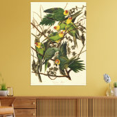 Toile Illustration Audubon Carolina Parrot Bird (Insitu(Salon))