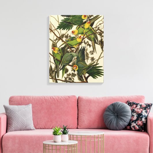 Toile Illustration Audubon Carolina Parrot Bird (Insitu(Salon))