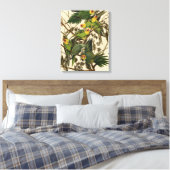 Toile Illustration Audubon Carolina Parrot Bird (Insitu(Chambre))