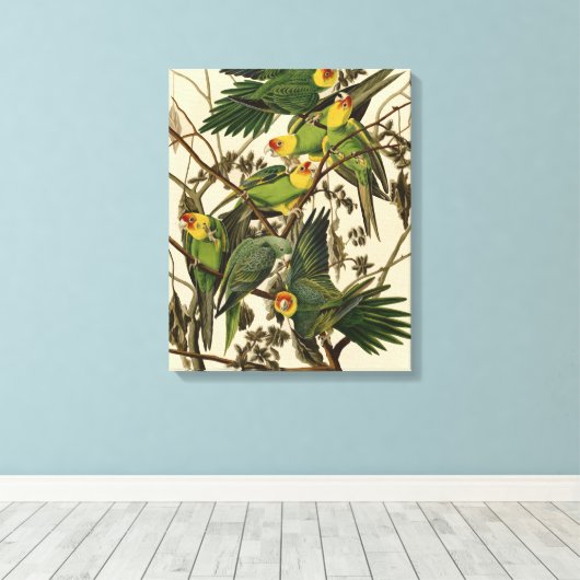 Toile Illustration Audubon Carolina Parrot Bird (Insitu (Plancher de Bois))