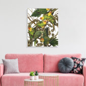 Toile Illustration Audubon Carolina Parrot Bird (Insitu(Salon))