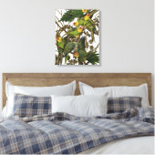 Toile Illustration Audubon Carolina Parrot Bird (Insitu(Chambre))