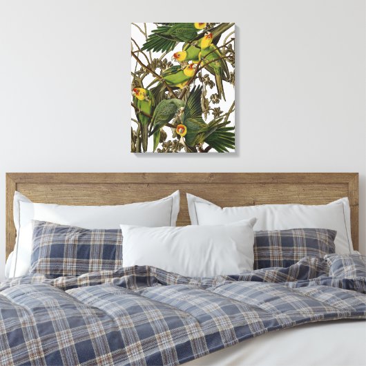 Toile Illustration Audubon Carolina Parrot Bird (Insitu(Chambre))