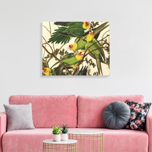 Toile Illustration Audubon Carolina Parrot Bird (Insitu(Salon))