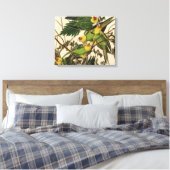 Toile Illustration Audubon Carolina Parrot Bird (Insitu(Chambre))