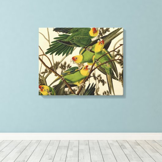 Toile Illustration Audubon Carolina Parrot Bird (Insitu (Plancher de Bois))