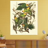 Toile Illustration Audubon Carolina Parrot Bird (Insitu(Salon))