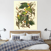 Toile Illustration Audubon Carolina Parrot Bird (Insitu(Chambre))